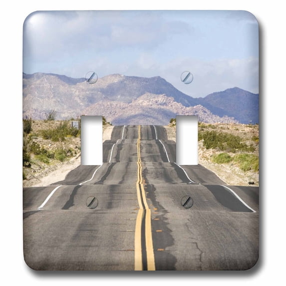 3dRose, Scenic Roadway, Hwy 98, Imperial Co., California - US05 DFR0408 - David R. Frazier, double toggle switch