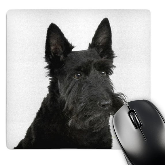 3dRose, Scottish terrier, MousePad