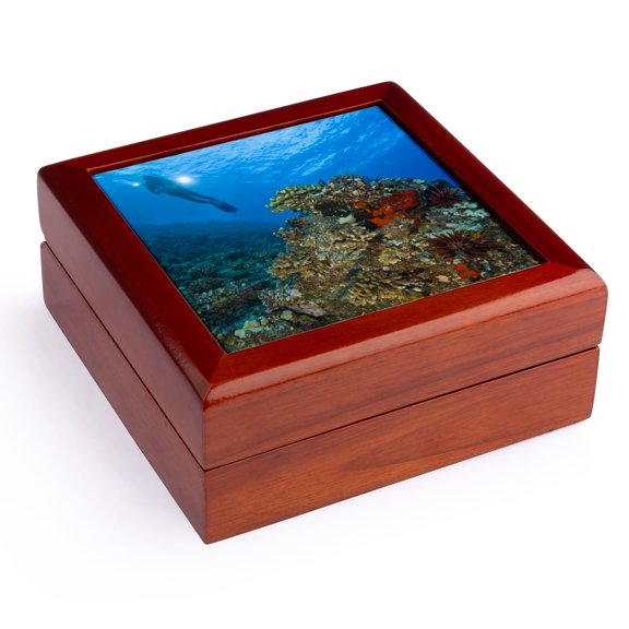 3dRose, Scuba divers, Molokini Crater, Maui, Hawaii - US12 SWS0128 - Stuart Westmorland, Jewelry Box 5.5x5.5 inch with 4 inch tile