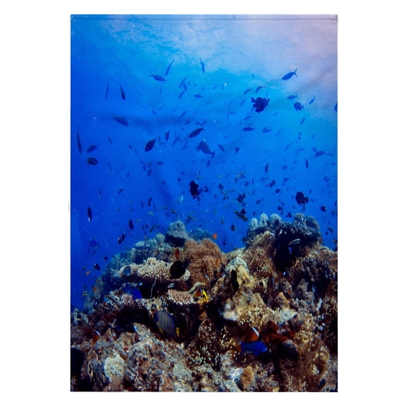 3dRose, Scuba diving, Fiji - OC01 DPB0400 - Douglas Peebles, 22x30 Bath Hand Pool Towel