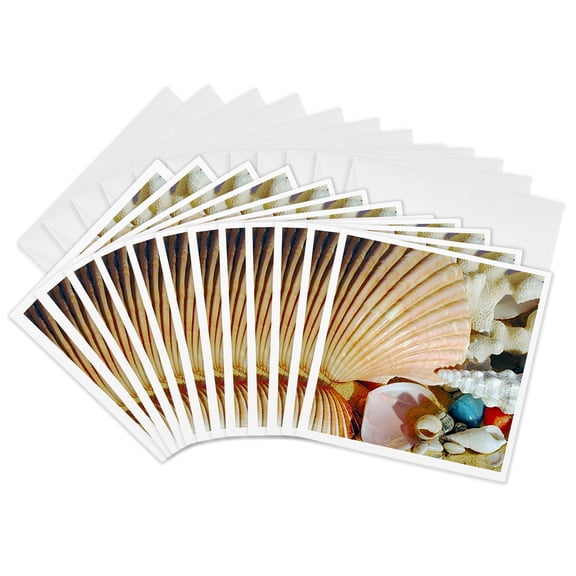 3drose, Sea Shells, 12 Greeting Cards with Envelopes