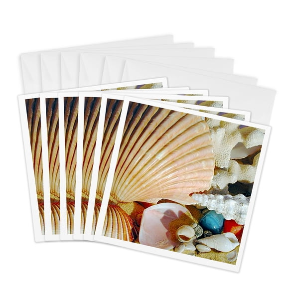 3drose, Sea Shells, 6 Greeting Cards with Envelopes