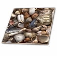 thumbnail image 1 of 3dRose, Sea Shells, 8 Inch Ceramic Tile, 1 of 2