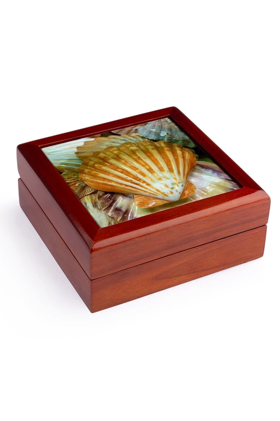 , Sea Shells Up close, Jewelry Box 5.5x5.5 inch with 4 inch tile