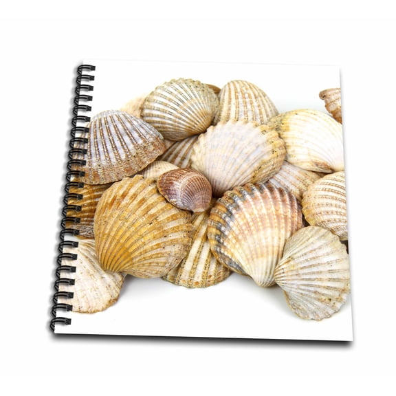 3dRose, Sea Shells by the Sea Shore - Summer - Beach Theme, Drawing Book 8 x 8 inch