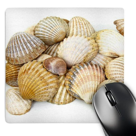 3dRose, Sea Shells by the Sea Shore - Summer - Beach Theme, MousePad