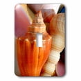 thumbnail image 1 of 3dRose, Sea Shells, single toggle switch, 1 of 1