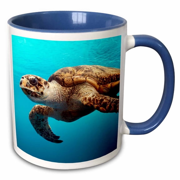 3drose, Sea Turtle, 15oz Two-tone Blue Mug