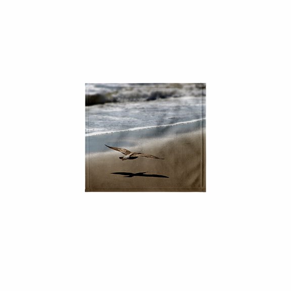 3dRose, Seagull gliding at the beach - bird, animal, water, ocean, flying, shore, wildlife, nature, coast, 11x12 Wash Cloth for Face and Body