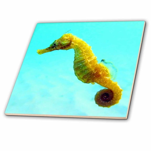 3dRose, Seahorse., 8 Inch Glass Tile