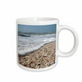thumbnail image 1 of 3drose, Seashells, Sanibel Island, Gulf Coast, Florida - Us10 Dfr0166 - David R. Frazier, 11oz Mug, 1 of 6