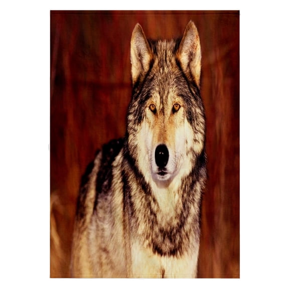 3dRose, Serious Pose Of Brown Wolf, 22x30 Bath Hand Pool Towel