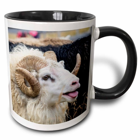 3drose, Sheep Down from the High Pastures, Olafsjordur in Northern Iceland., 15oz Two-tone Black Mug