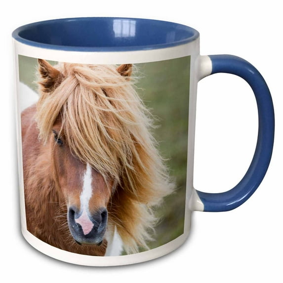 3drose, Shetland Pony Portrait, Island of Unst, Shetland Islands. Scotland, 11oz Two-tone Blue Mug