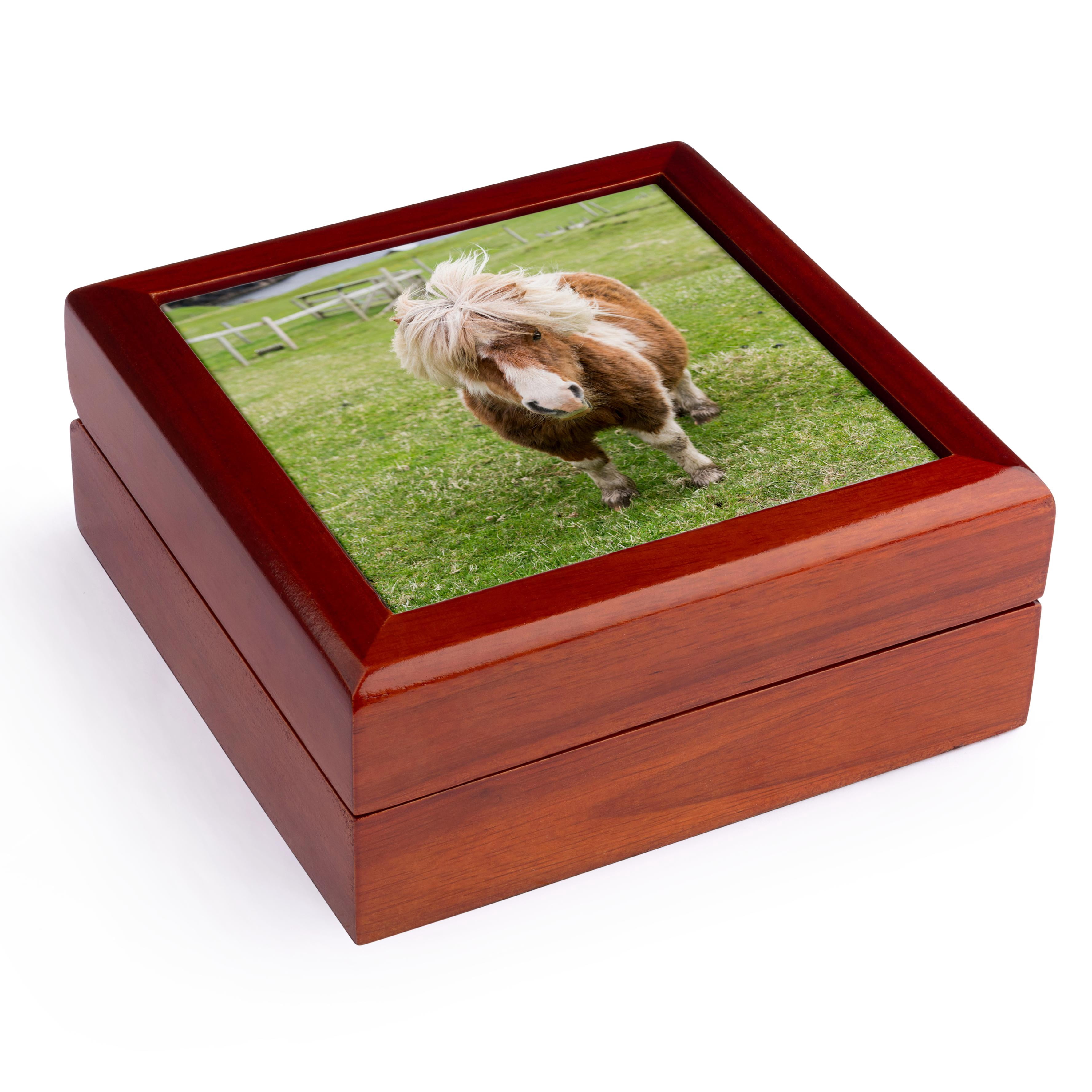 3dRose, Shetland Pony on pasture near high cliffs, Shetland islands, Scotland., Jewelry Box 5.5x5.5 inch with 4 inch tile