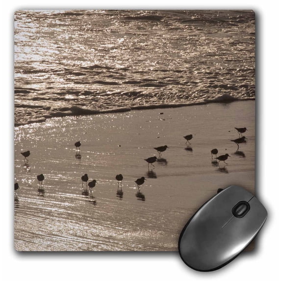 3dRose, Shorebirds, Pacific Ocean, Crystal Cove SP, CA - NA02 RSP0003 - Rob Sheppard, MousePad