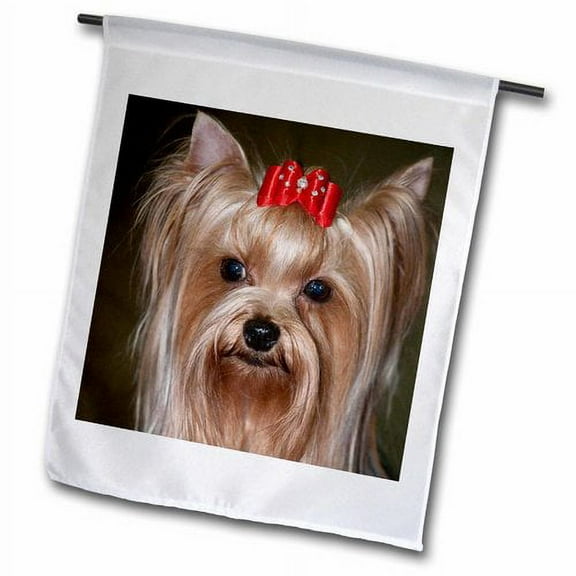 3dRose, Show Yorkshire Terrier Dog with red bow - NA02 PWO0018 - PiperAnne Worcester, 12 x 18 inch Garden Flag
