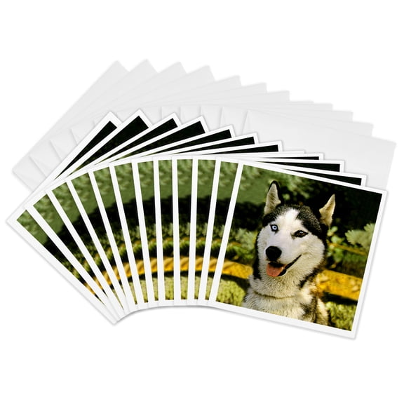 3drose, Siberian Husky, 12 Greeting Cards with Envelopes