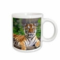 thumbnail image 1 of 3drose, Siberian Tiger, 15oz Mug, 1 of 6
