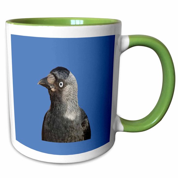 3drose, Side Profile of a Beady Eyed Jackdaw Cut Out, 11oz Two-tone Green Mug