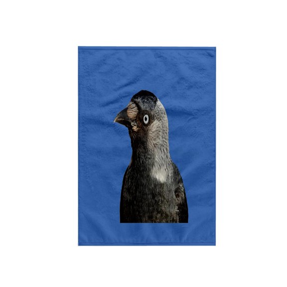 3dRose, Side Profile Of A Beady Eyed Jackdaw Cut Out, 15x22 Hand Towel