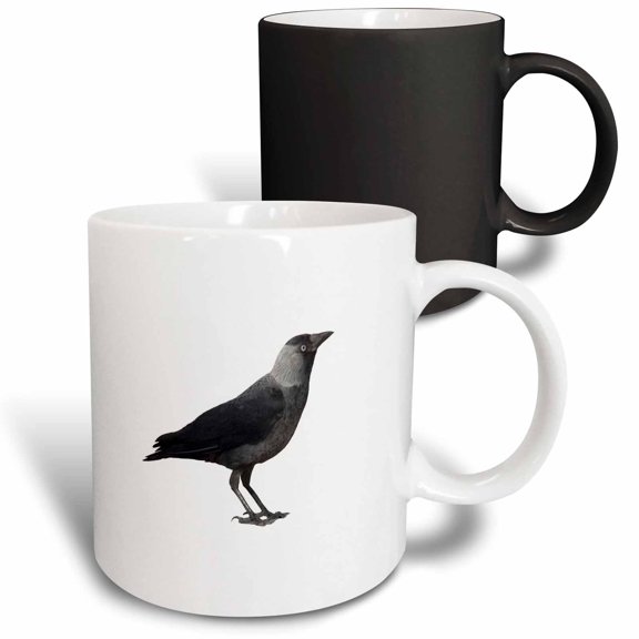 3drose, Side View of a Wild Jackdaw, 11oz Magic Transforming Mug