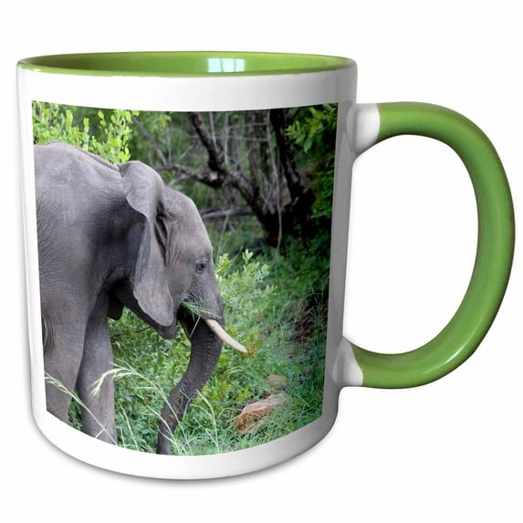 3drose, Side View of a Gorgeous Elephant in the Forest Wildlife Photography, 15oz Two-tone Green Mug
