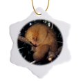 thumbnail image 1 of 3drose, Silky Pygmy Anteater Wildlife, Mangrove, Trinidad -ca43 Ksc0002 - Kevin Schafer, 3 inch Snowflake Porcelain Ornament, 1 of 7