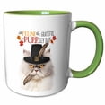 thumbnail image 1 of 3drose, Silver and Cream Colored Persian Cat for Cat Lovers Thanksgiving, 11oz Two-tone Green Mug, 1 of 6
