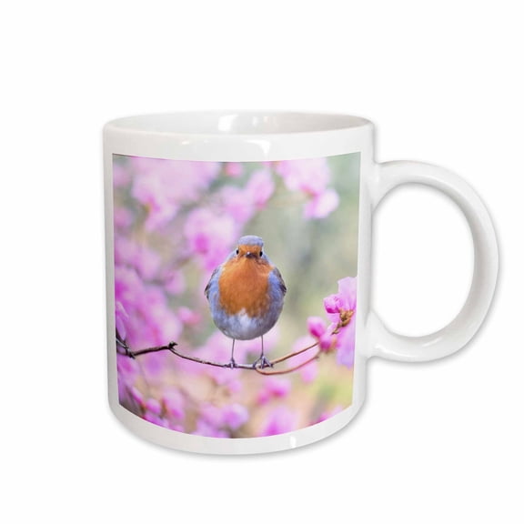 3drose, Singing Robin Spring Bird on Colorful Background Animals Birds, 15oz Mug