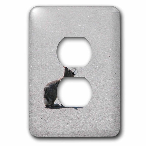 3dRose, Sitting Bunny Rabbit, 2 plug outlet cover