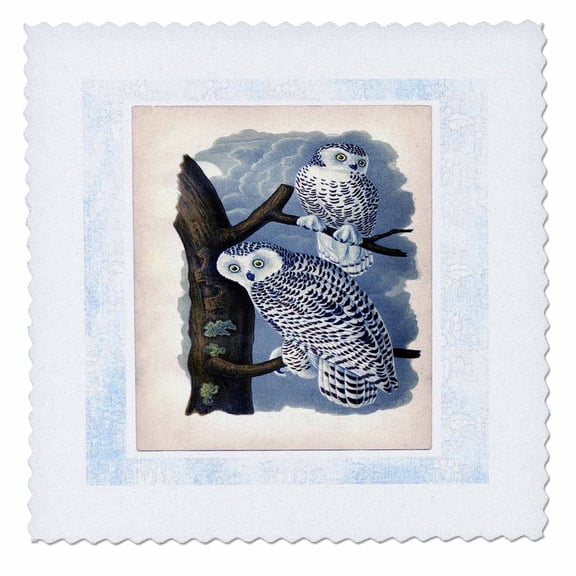3dRose, Snowy Barn Owls, 12x12 inch quilt square