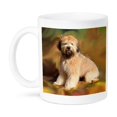 thumbnail image 1 of 3dRose, Soft Coated Wheaten Terrier, 11oz Mug, 1 of 7
