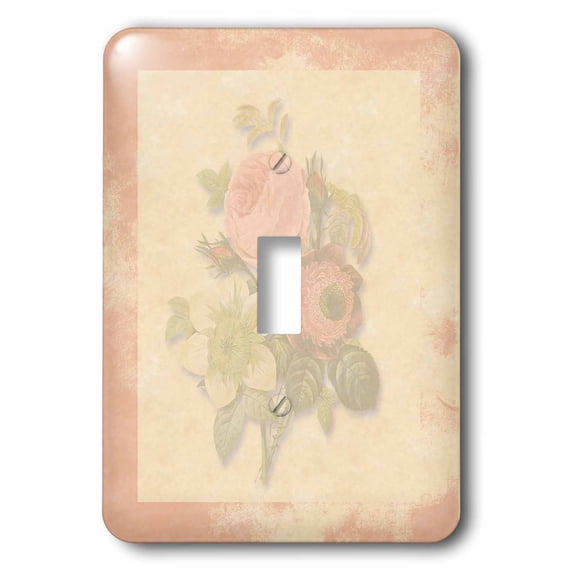3dRose, Soft Pink Victorian Roses, Antique look Background Pink Frame, Light pastel, single toggle switch