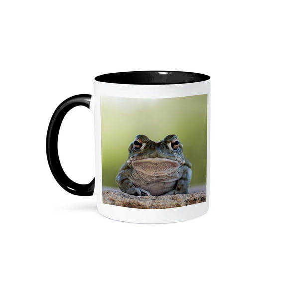 3dRose, Sonoran desert Toad, Bufo alvarius, 11oz Two-Tone Black Mug