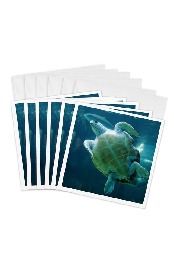, South Africa, Cape Town, Leatherback Turtle, Aquarium-af42 Pso0182 - Paul Souders, 6 Greeting Cards with Envelopes