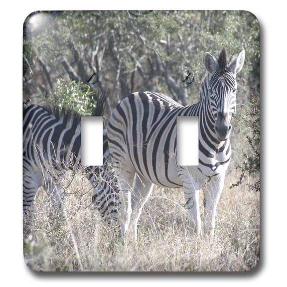 3dRose, South African 2 Zebras front view, double toggle switch