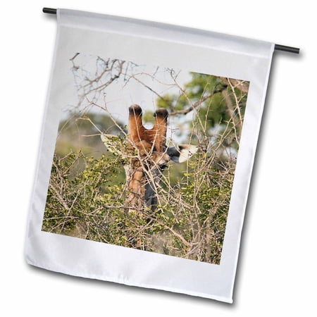 3dRose, South African Giraffe head face in the trees, 12 x 18 inch Garden Flag