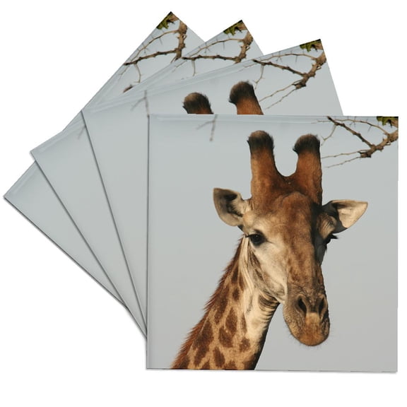3dRose, South African Giraffe head face sky background, Set of 4 Ceramic Tile Coasters