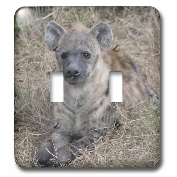 3dRose, South African Hyena front view, double toggle switch