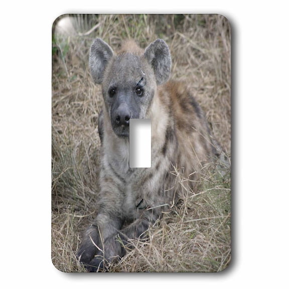 3dRose, South African Hyena front view, single toggle switch