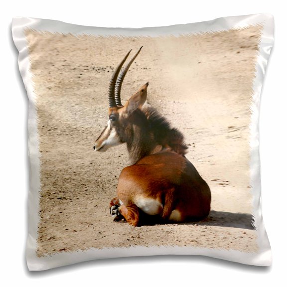 3drose, South African Sable Antelope, 16x16 inch Pillow Case