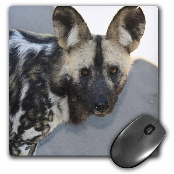 3dRose, South African Wild Dog head shot, MousePad