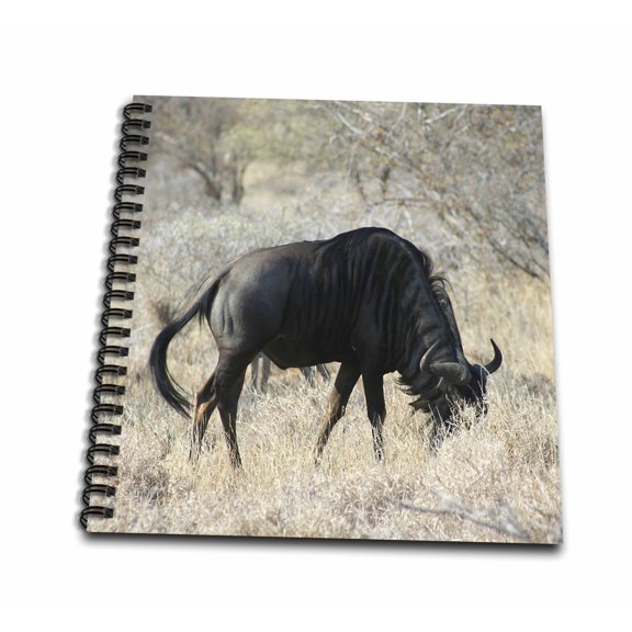 3dRose, South African Wildebeest side view, Drawing Book 8 x 8 inch