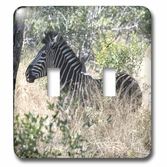3dRose, South African Zebra in the grass, double toggle switch