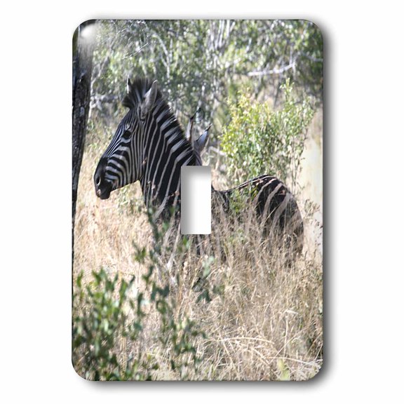 3dRose, South African Zebra in the grass, single toggle switch
