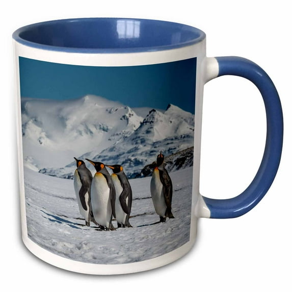 3drose, South Georgia Island. King Penguins Walk on Shore of Salisbury Plain, 11oz Two-tone Blue Mug