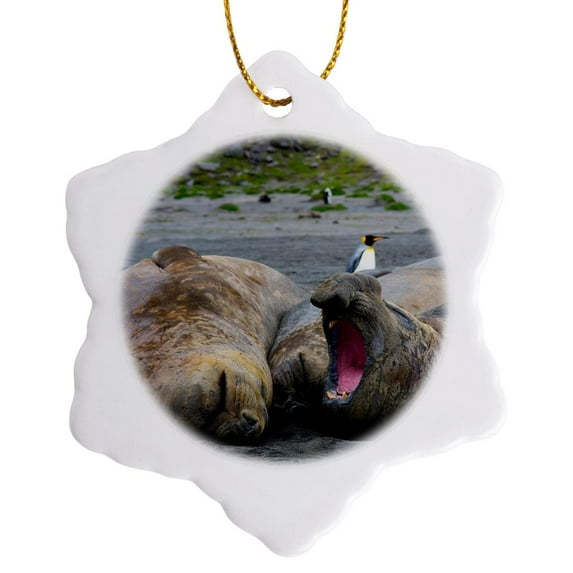 3drose, South Georgia. St Andrews. Southern Elephant Seals., 3 inch Snowflake Porcelain Ornament