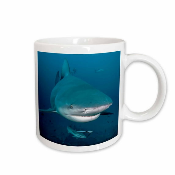 3drose, South Pacific, Fiji. Bull Shark Close Up., 15oz Mug