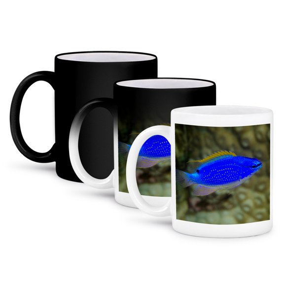 3dRose, South Seas Devil Damselfish, Coral Reef, Koro Island, Fiji., 11oz Magic Transforming Mug